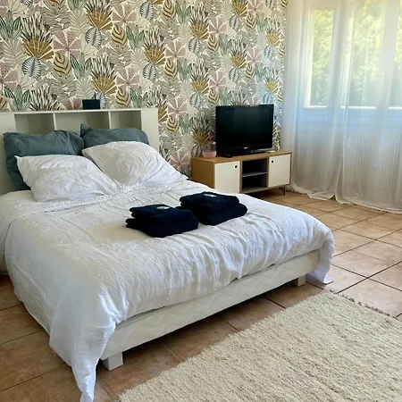 Studio Cosy De 30 M2 Au Coeur Des Thermes Royat Exterior photo