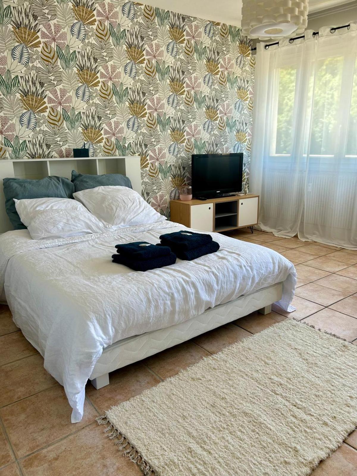Cosy De 30 M2 Au Coeur Des Thermes Appartement